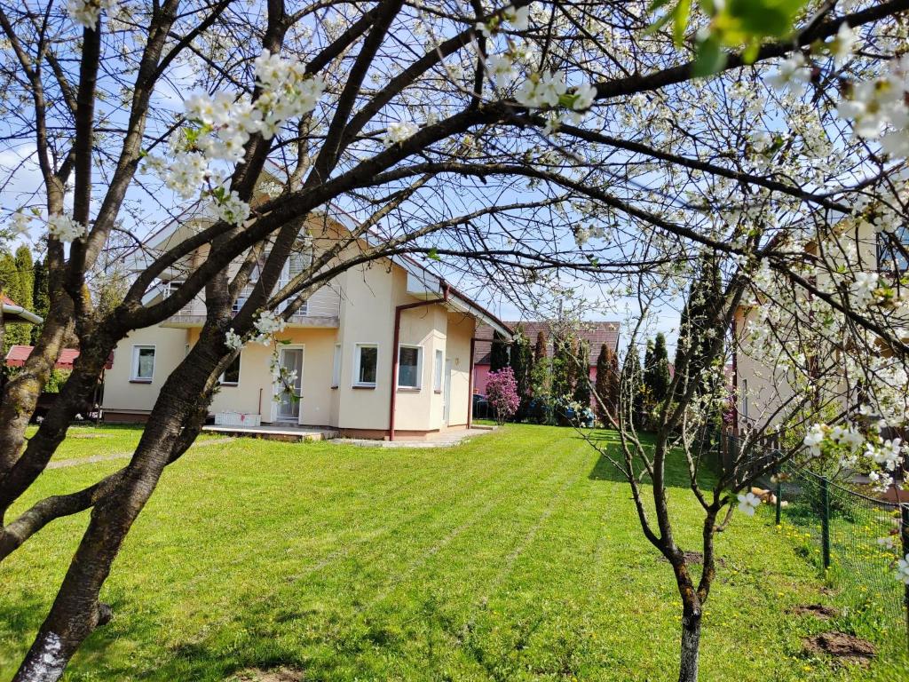 ein Haus in einem Hof mit blühenden Bäumen in der Unterkunft Casa Livezeni in Livezeni
