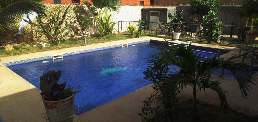 a large blue swimming pool in a yard at DALDIAM in Ngaparou