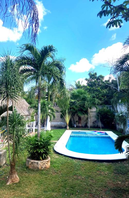 GREEN PARADISE LEONA VICARIO - Housity