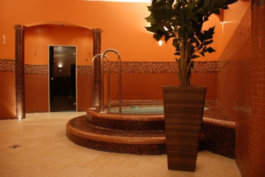 a bathroom with a tub with a vase with a plant in it at Hillside Apartman in Dunaszentmiklós