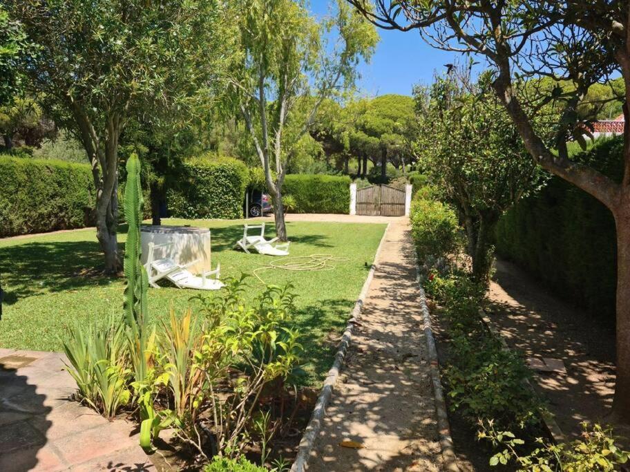 Casas y chalets Tierra del Sur en Conil de la Frontera, Andalucía