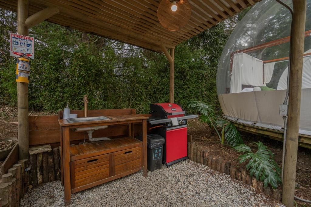 Zahrada ubytování BubbleSky Glamping 40 min from Medellin