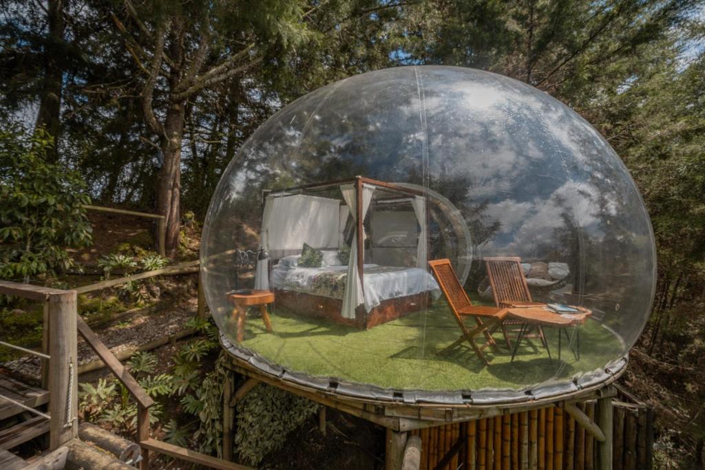 Zahrada ubytování BubbleSky Glamping 40 min from Medellin