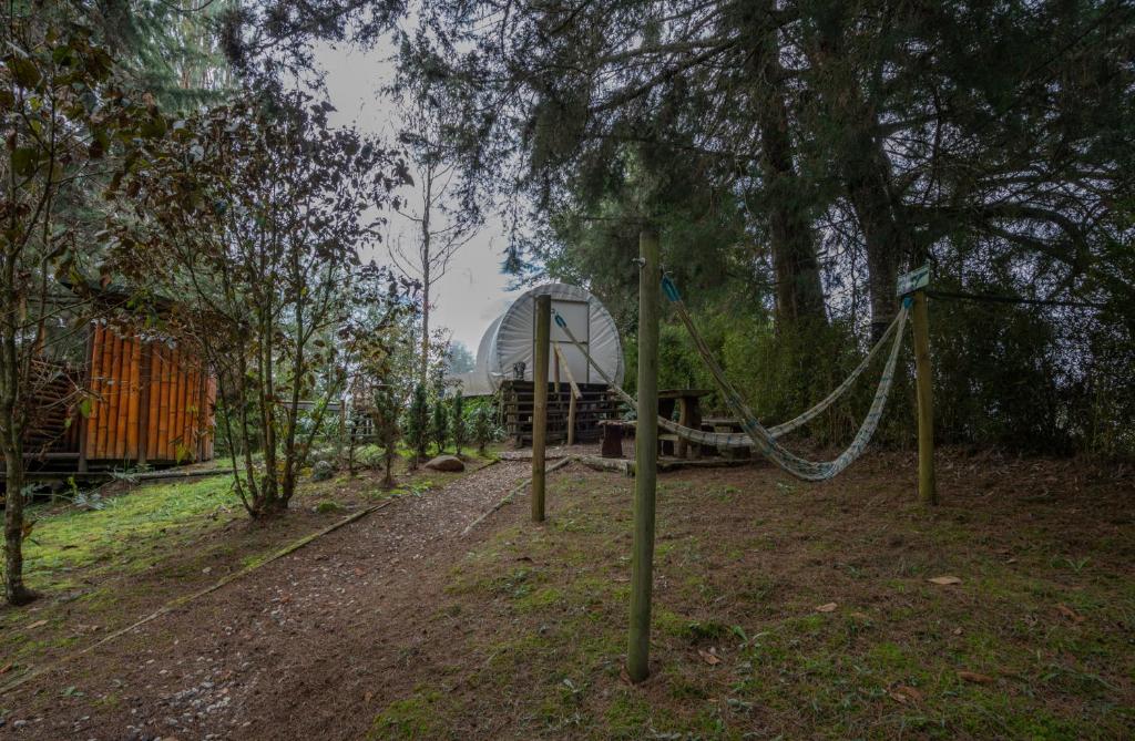 Zahrada ubytování BubbleSky Glamping 40 min from Medellin