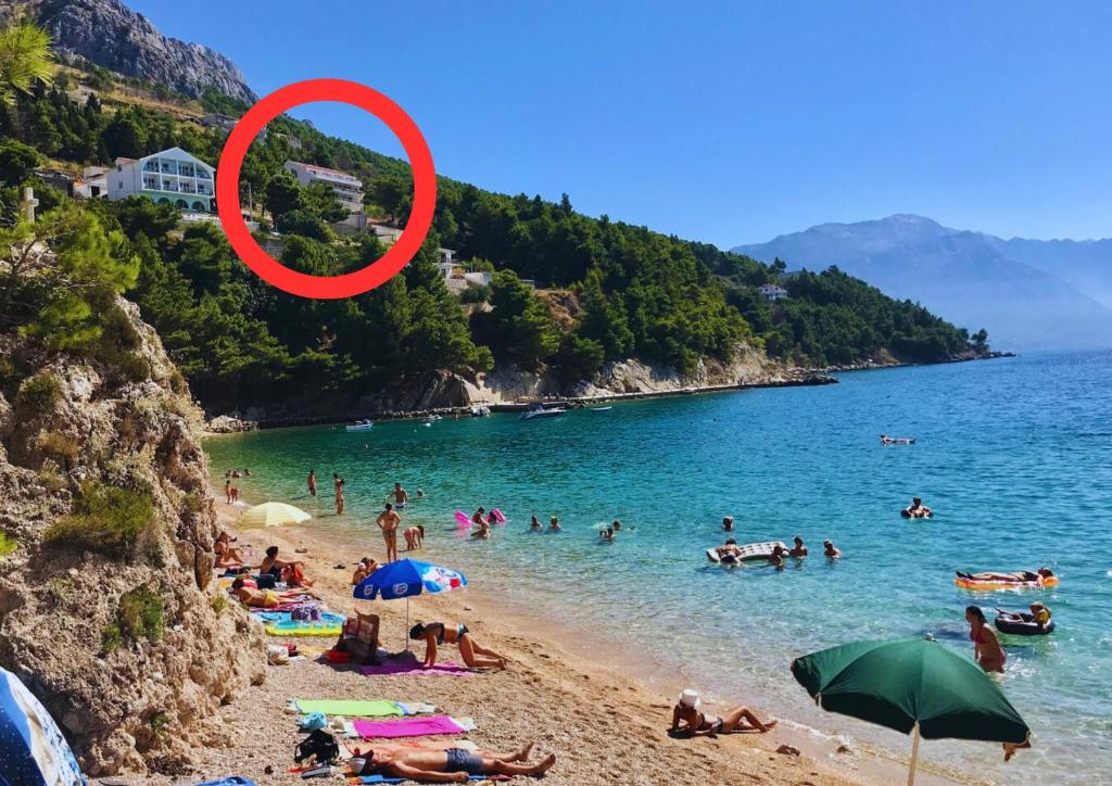 Příroda nedaleko apartmánu