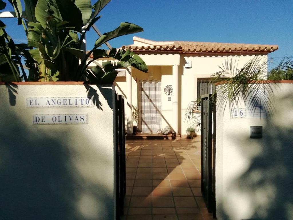 Fotografia z galérie ubytovania Guest House El Angelito de Olivas v destinácii Pedreguer
