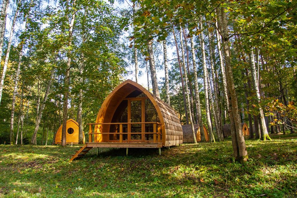 una piccola cabina in mezzo a una foresta di Meža namiņi Sprīdīši a Tērvete