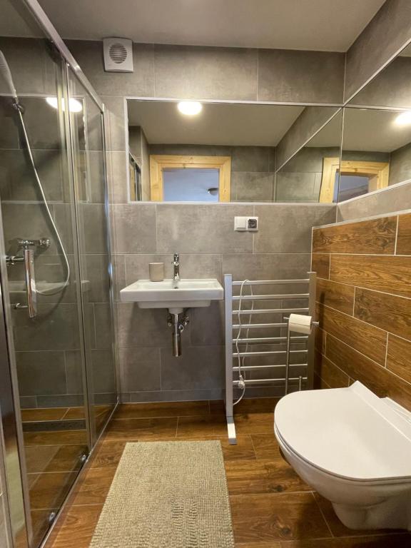 ein Bad mit einem WC, einem Waschbecken und einer Dusche in der Unterkunft Willa Wysoka in Zakopane