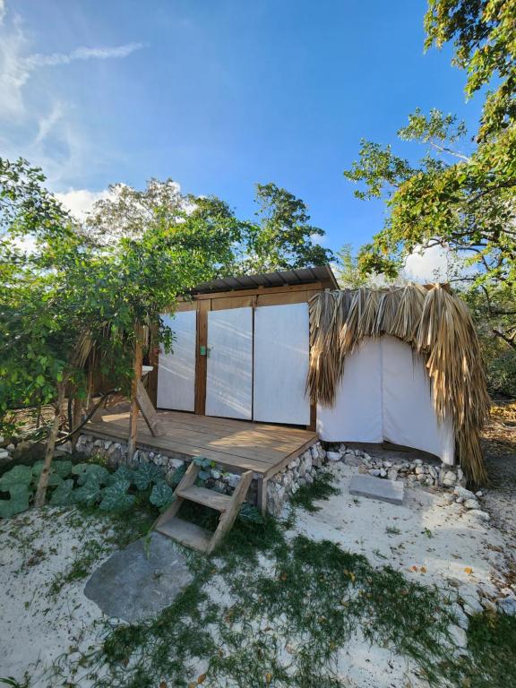 Zahrada ubytování Saona lodge