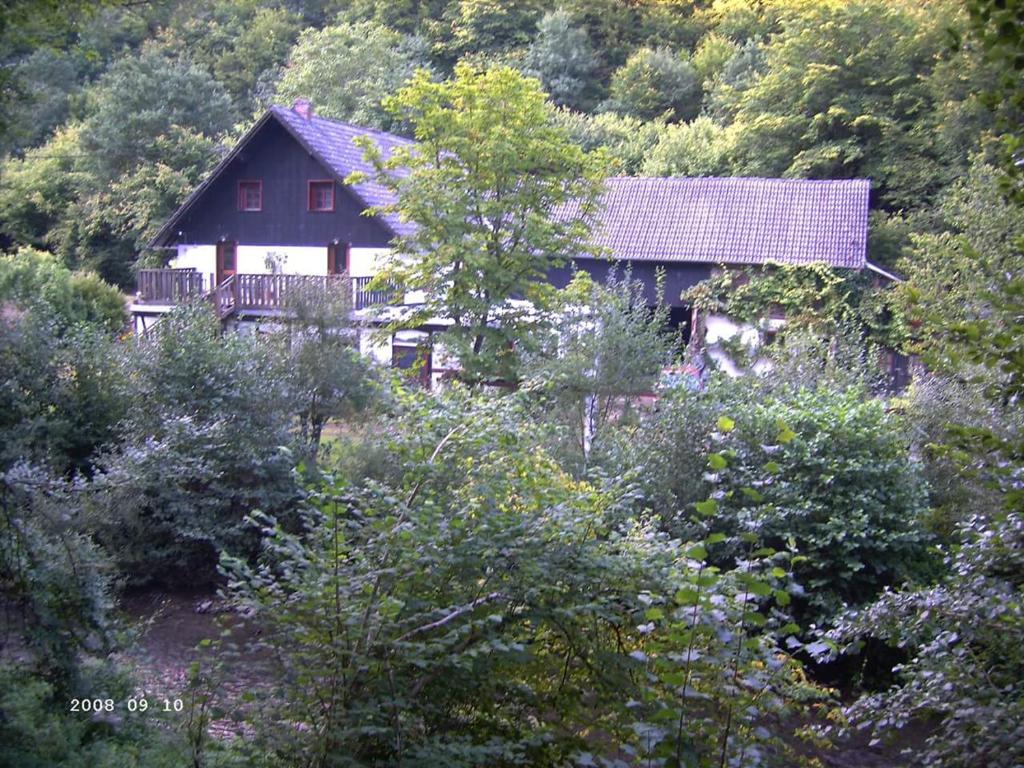 a house in the middle of a forest at Ferienhaus Neumühle in Lutzerath
