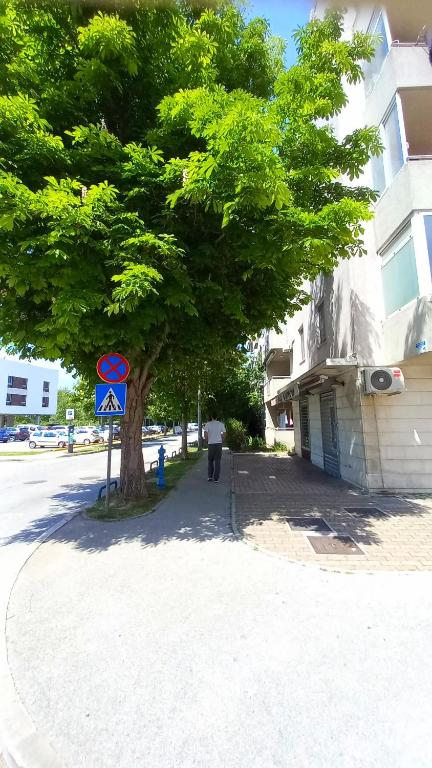 a tree on a sidewalk next to a building with a sign at Kat&#39;s - Roman Salona in Solin