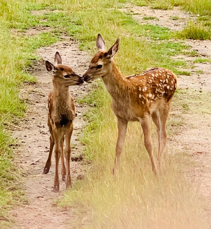 Hilltop Whakaipo Estate - Resim 24