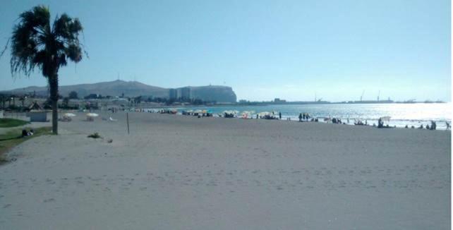 una playa con una palmera y el océano en Villa frontera home, en Arica