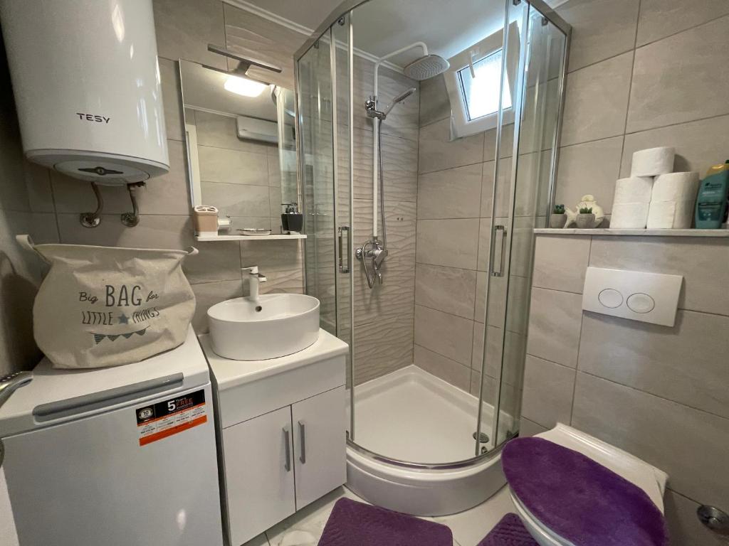 Kúpeľňa v ubytovaní ST-Gallery Apartment