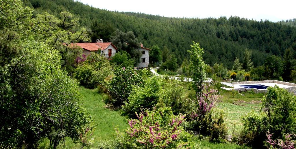 Afbeelding uit fotogalerij van Kilim Villas Yaka Village in Kayacık