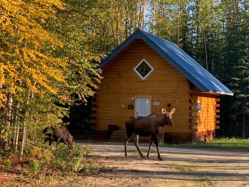 Gallery image of Moose Tracks Cabin in North Pole, Alaska in North Pole