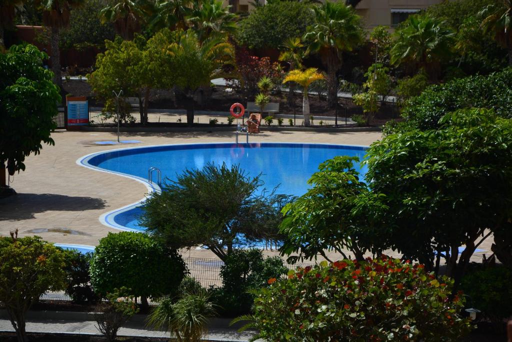 a large blue swimming pool in a park with trees at Sonne Wind und Ocean La Tejita in La Tejita