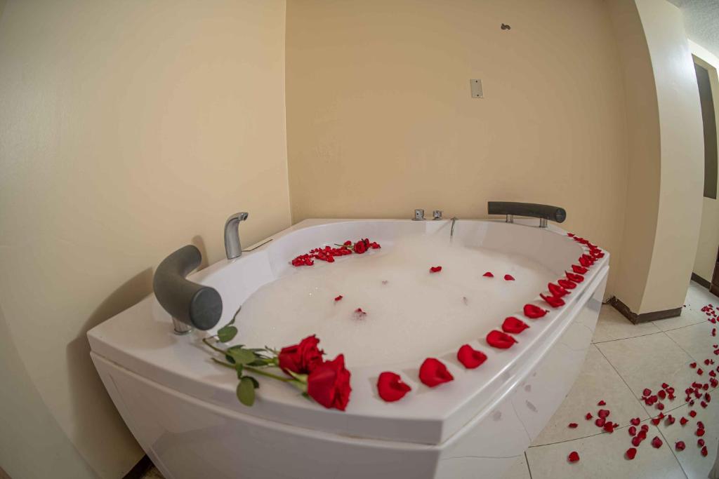 Fotografie z fotogalerie ubytování Hotel Tungurahua v destinaci Baños