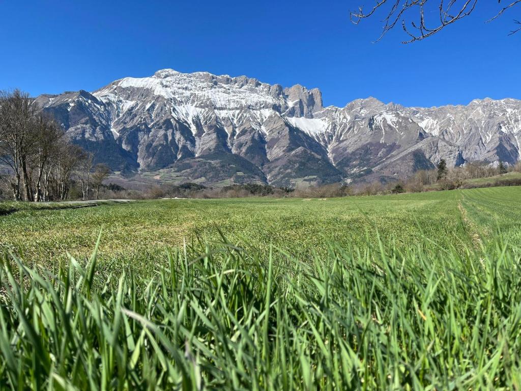 un champ d’herbe avec une montagne en arrière-plan dans l'établissement Le hameau du Maissubert, à Les Costes