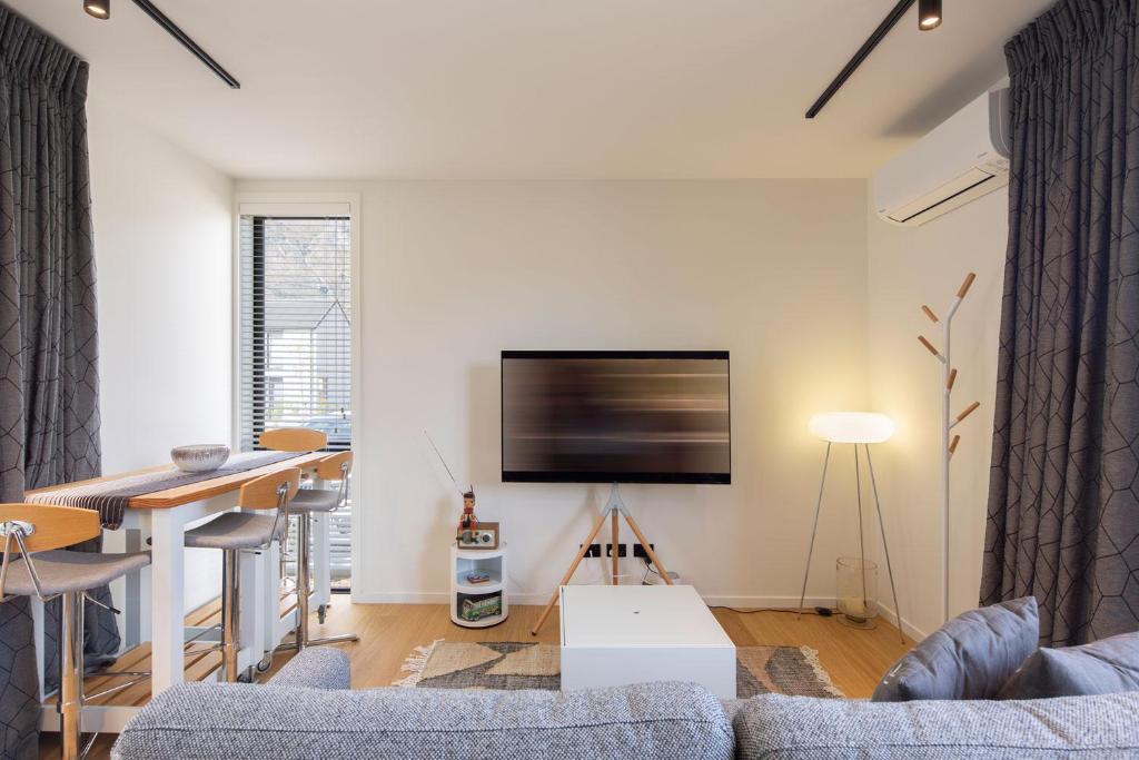 法蘭克頓的住宿－Remarkables View, 1BDR, Wi-Fi，客厅配有沙发和墙上的电视
