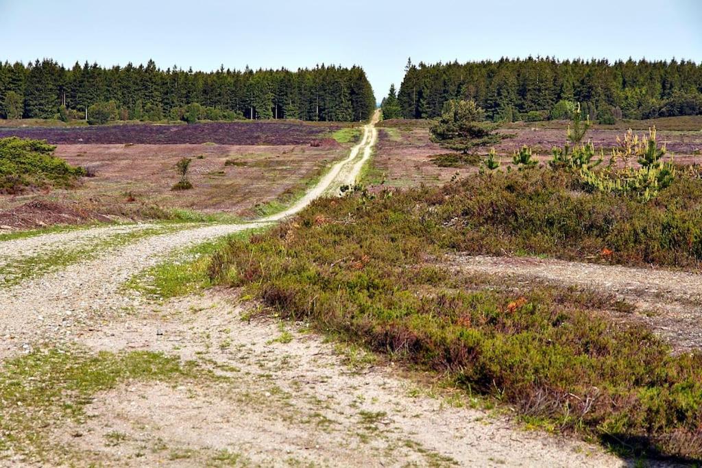a dirt road in the middle of a field at Bjælkehuset på Harrild Hede in Brande