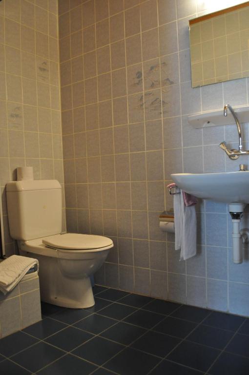 a bathroom with a toilet and a sink at Hotel de l'Union in Orsières