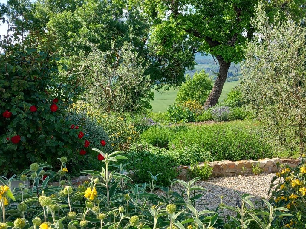 Zahrada ubytování Agriturismo Timignano
