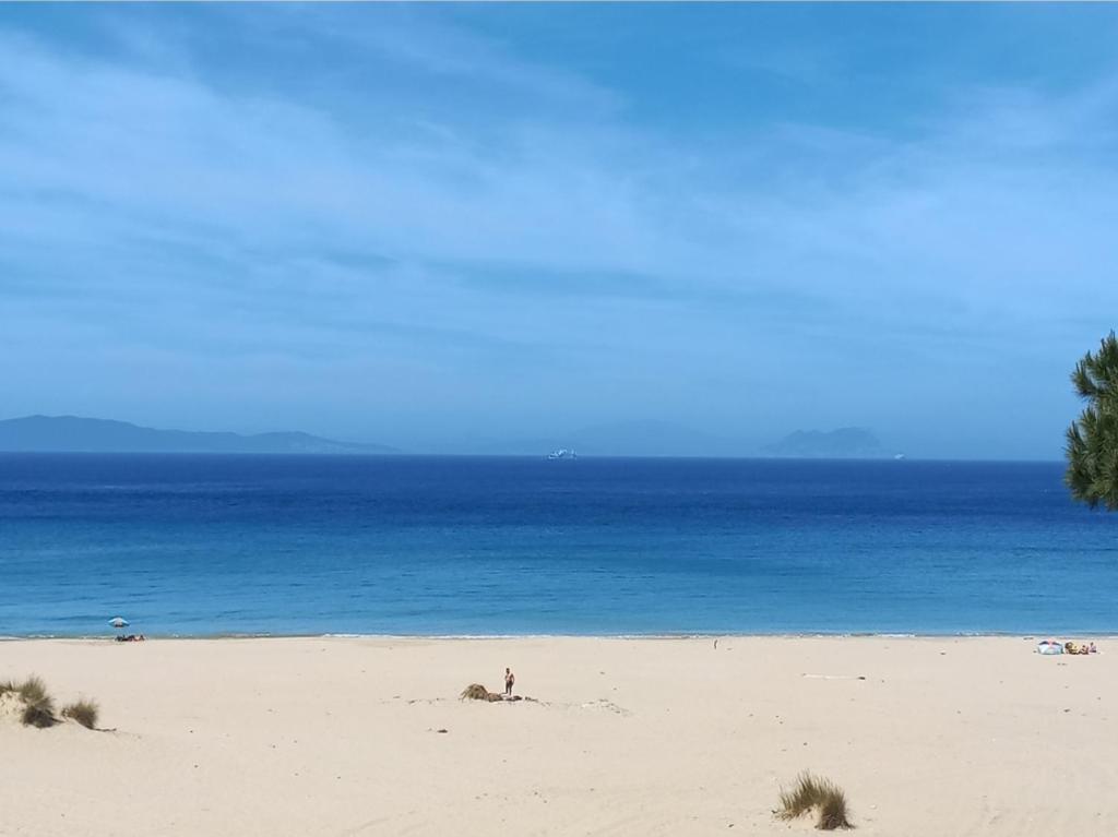 En strand i nærheden af lejligheden