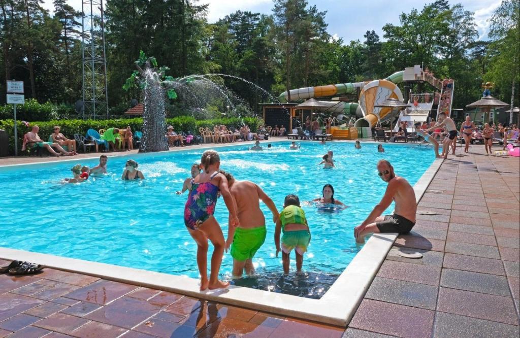 Bazén v ubytování Forest Family 6 persoons op 5 sterren park nebo v jeho okolí