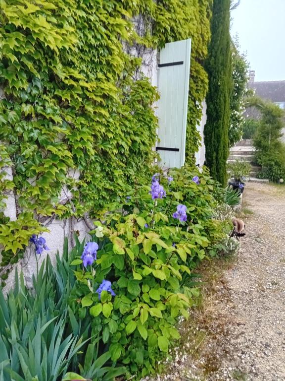 un jardin avec des fleurs violettes à côté d'un bâtiment dans l'établissement Ode au Bonheur St Georges sur Cher, à Saint-Georges-sur-Cher