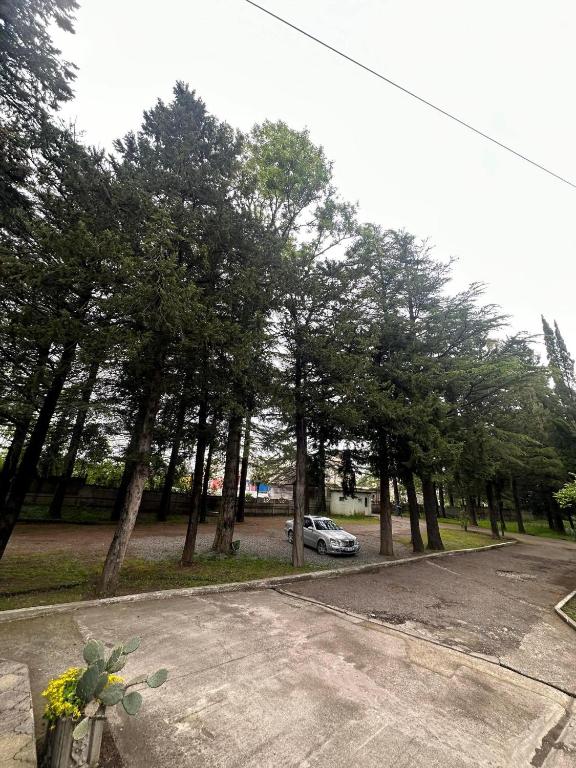 Fotografie z fotogalerie ubytování Park Hotel Imeri kutaisi v destinaci Kutaisi