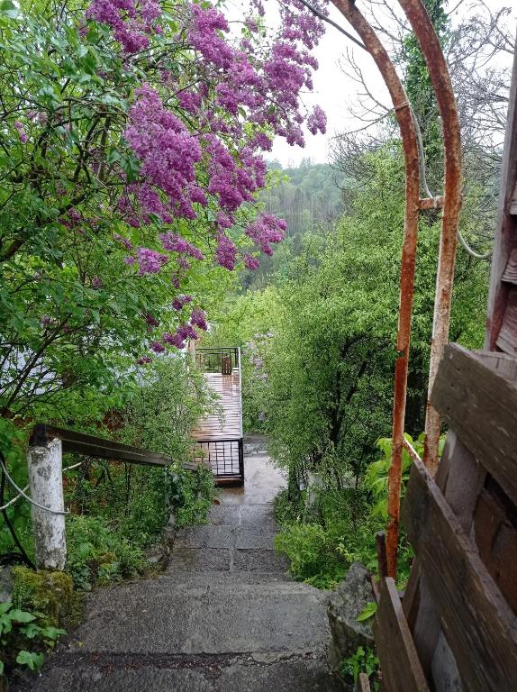 Zahrada ubytování le chalet des remparts