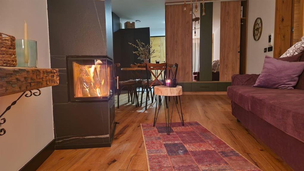 ビイェラシュニツァにあるWinter Park Residence Bjelasnicaのリビングルーム(暖炉、ソファ付)
