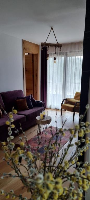 Posezení v ubytování Winter Park Residence Bjelasnica