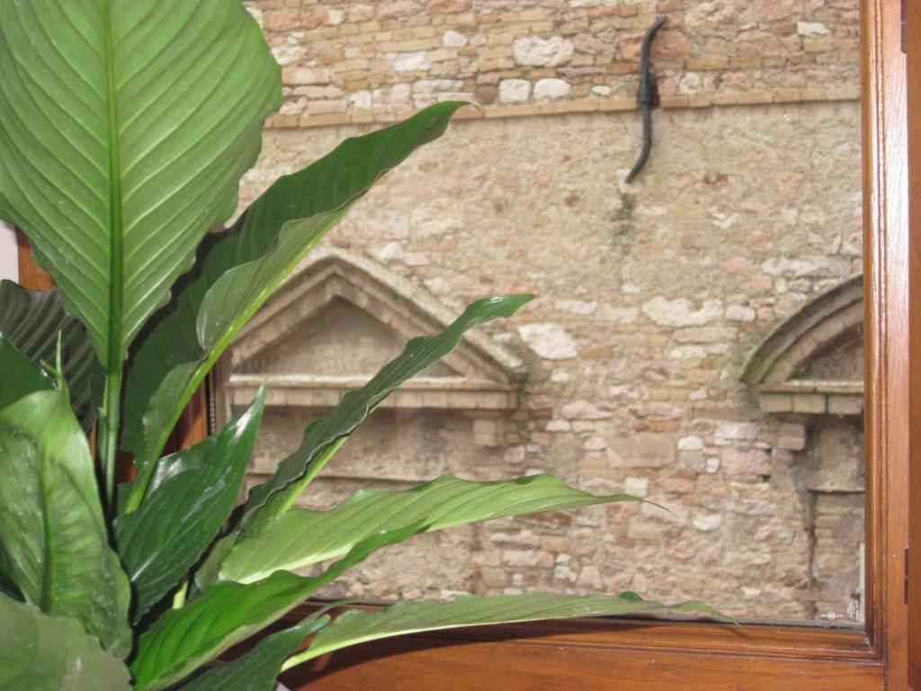 Fotografie z fotogalerie ubytování Helios Assisi v destinaci Assisi