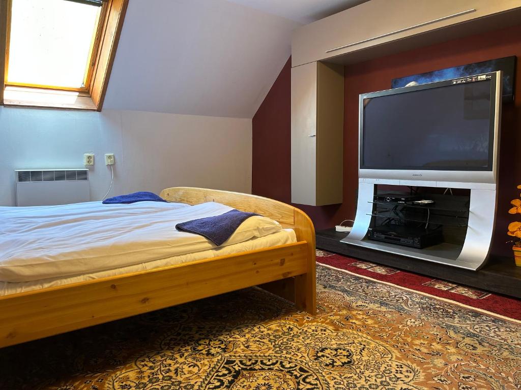 TV a/nebo společenská místnost v ubytování Penzión Encián