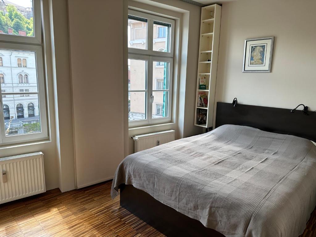 1 dormitorio con 1 cama y 2 ventanas en Triple Bridge Ljubljana en Liubliana