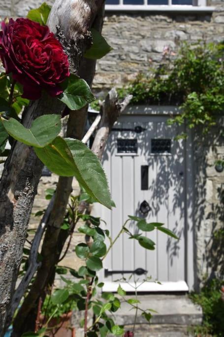 a red rose in front of a white door at Down End Cottage, Corfe Castle in Corfe Castle