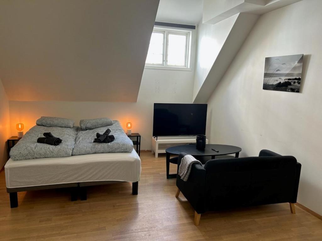 1 dormitorio con 1 cama y TV de pantalla plana en Marken Studio Apartments, en Bergen