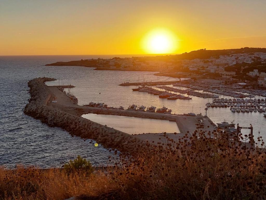 a sunset over a harbor with a group of boats at Appartamento a 150 mt dal lungomare in Leuca