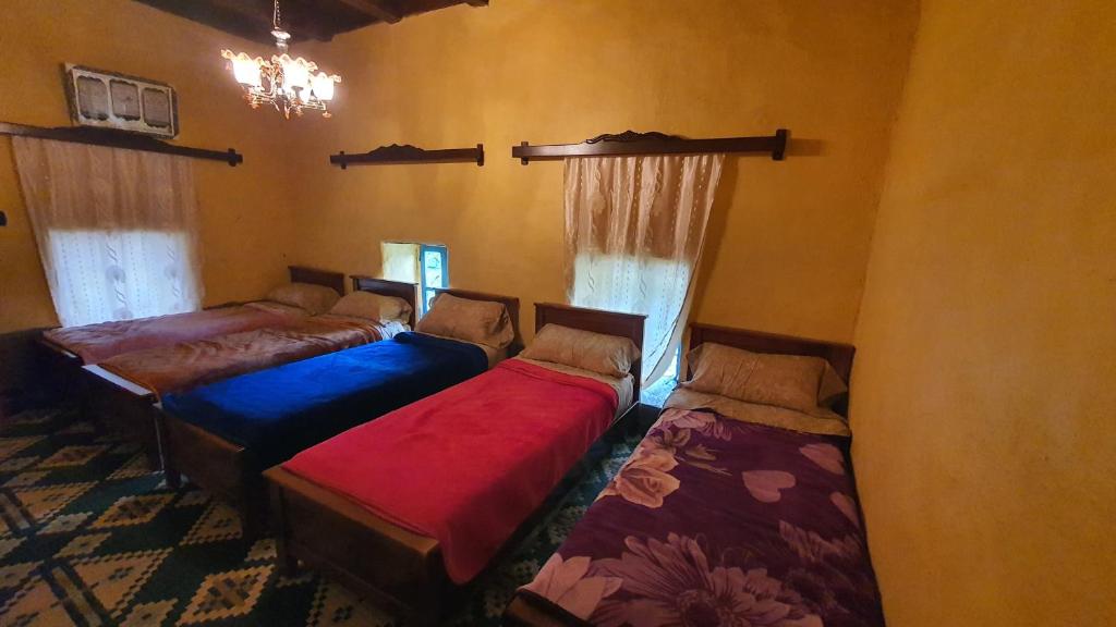 3 Betten in einem Zimmer mit Fenstern in der Unterkunft Auberge Jbel Raids in Tagoudit