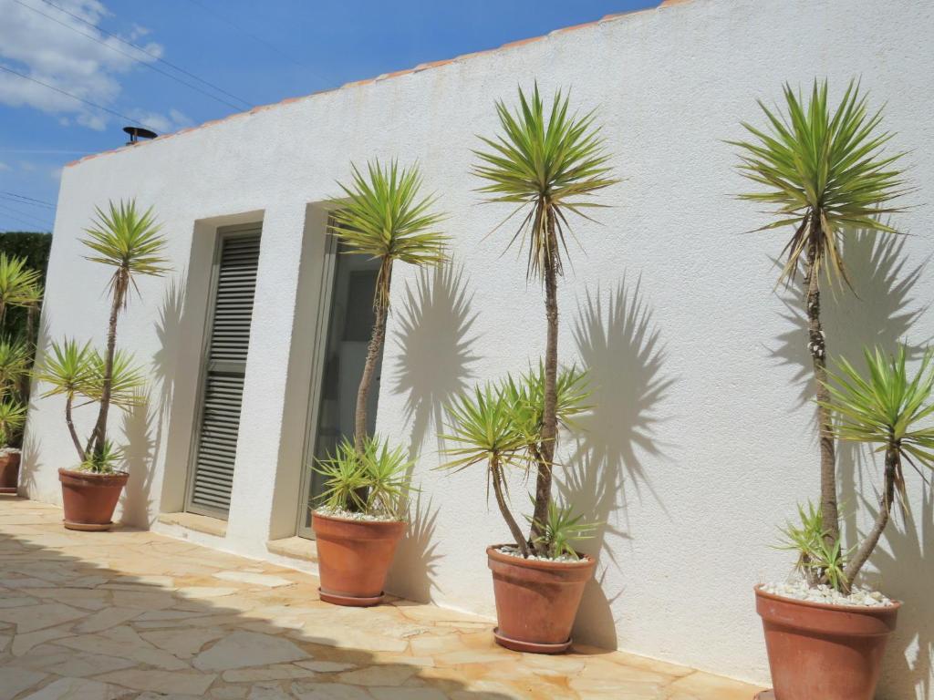 Casa Azahar y Casa Buganvilla, Gandía – Updated 2023 Prices