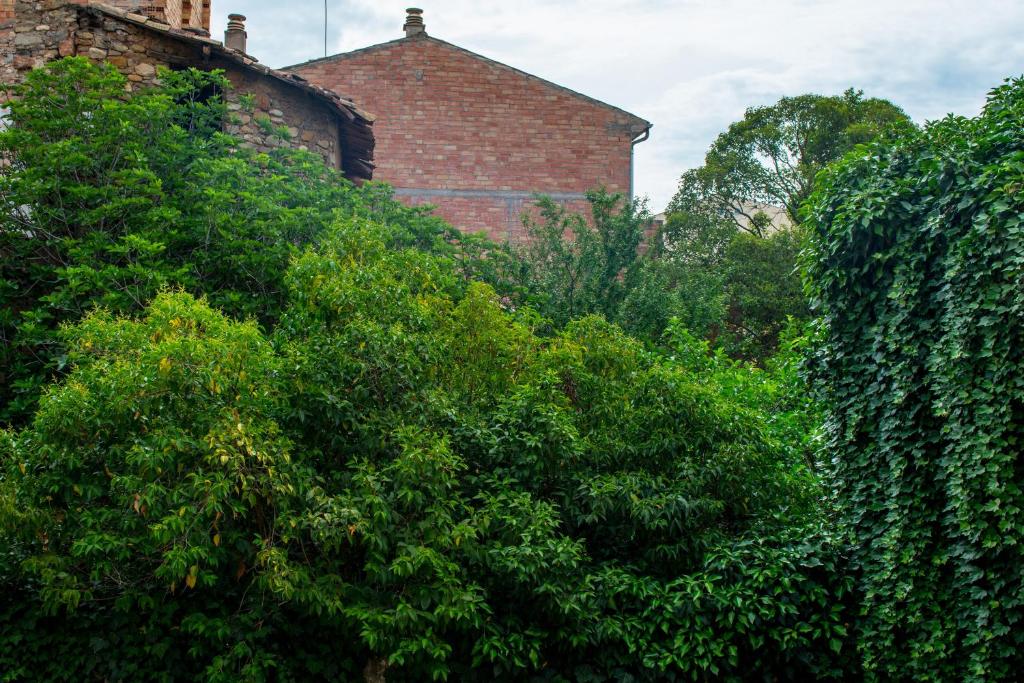A garden outside Blanch 1