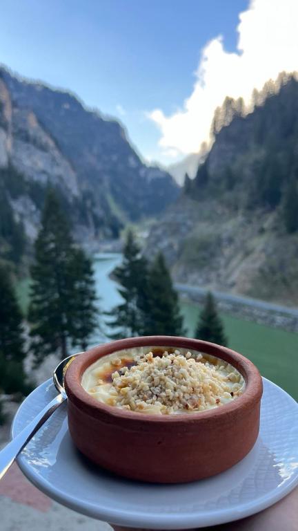 PAZARCIK MOUNTAIN HOTEL - 8