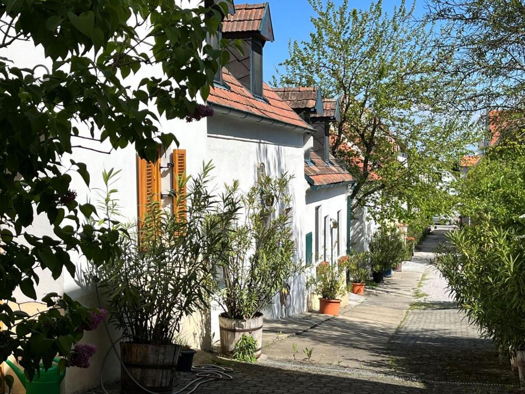 uma casa branca com plantas ao lado de uma rua em Apartment Hofgasse by Interhome em Mörbisch am See