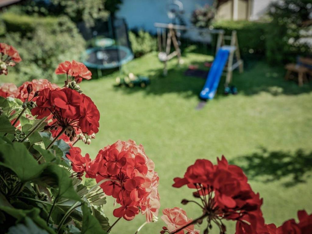 A garden outside Gästehaus Elfriede inklusive Sommerbergbahnticket