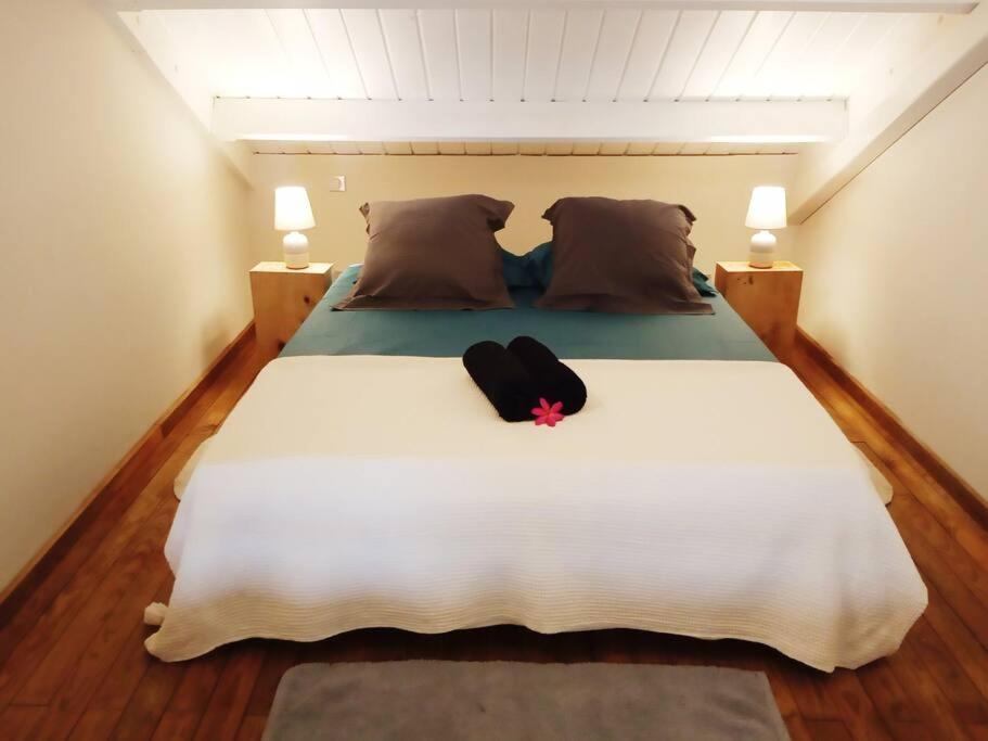 Postel nebo postele na pokoji v ubytování Duplex vue mer - Saline les bains