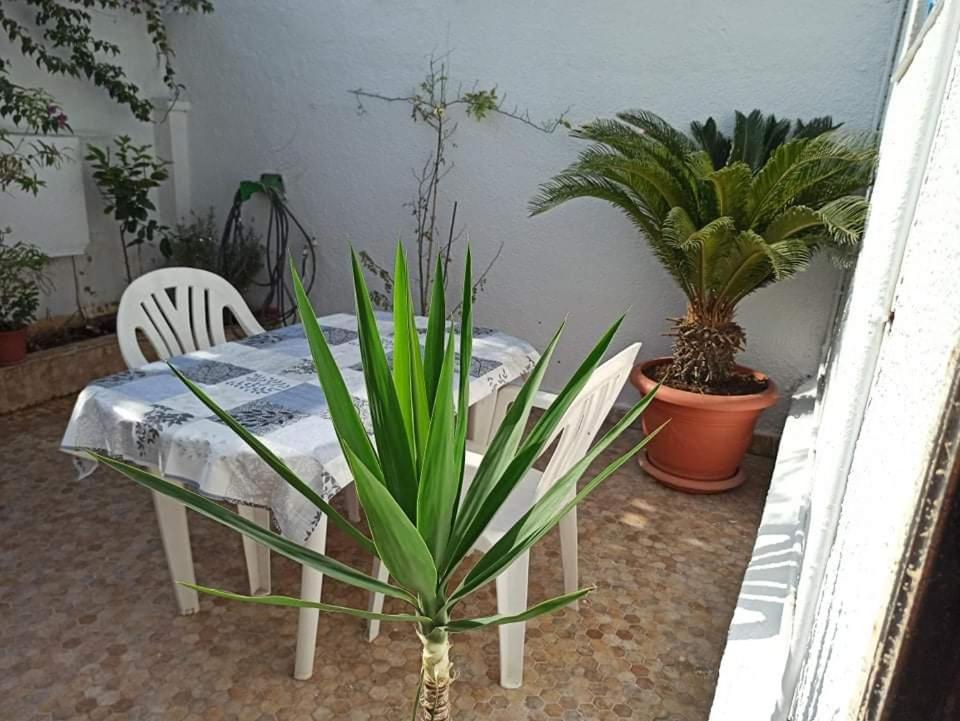 a table and chairs in a room with plants at La crique in Alger