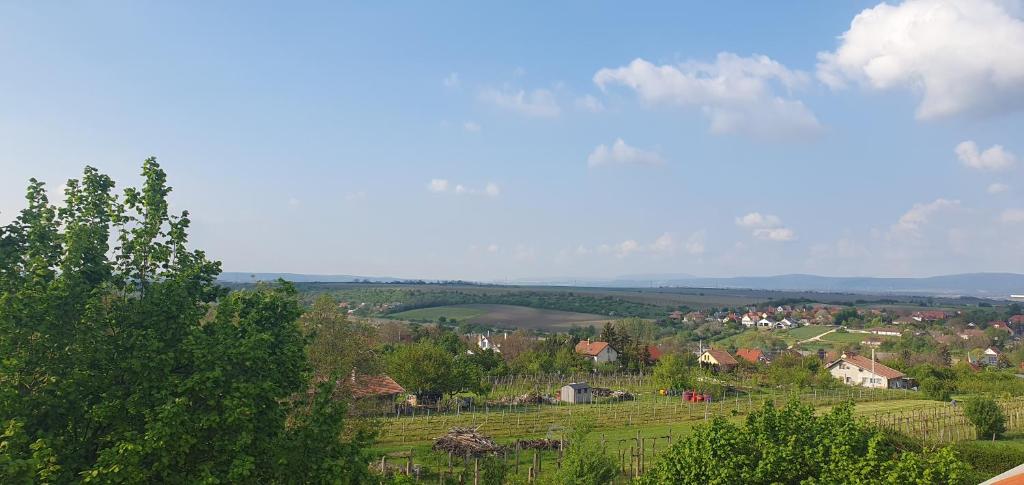 Příroda nedaleko apartmánu