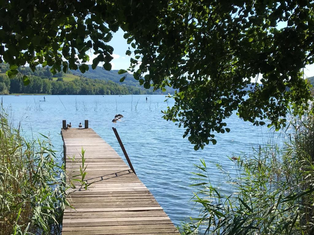 Maison au bord de l'eau avec ponton La Roselière, Paladru (preços